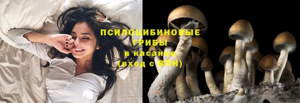 не бодяженный Абдулино
