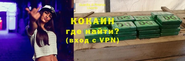 дурь Осташков