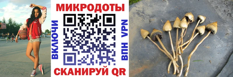 Галлюциногенные грибы MAGIC MUSHROOMS  Кохма 